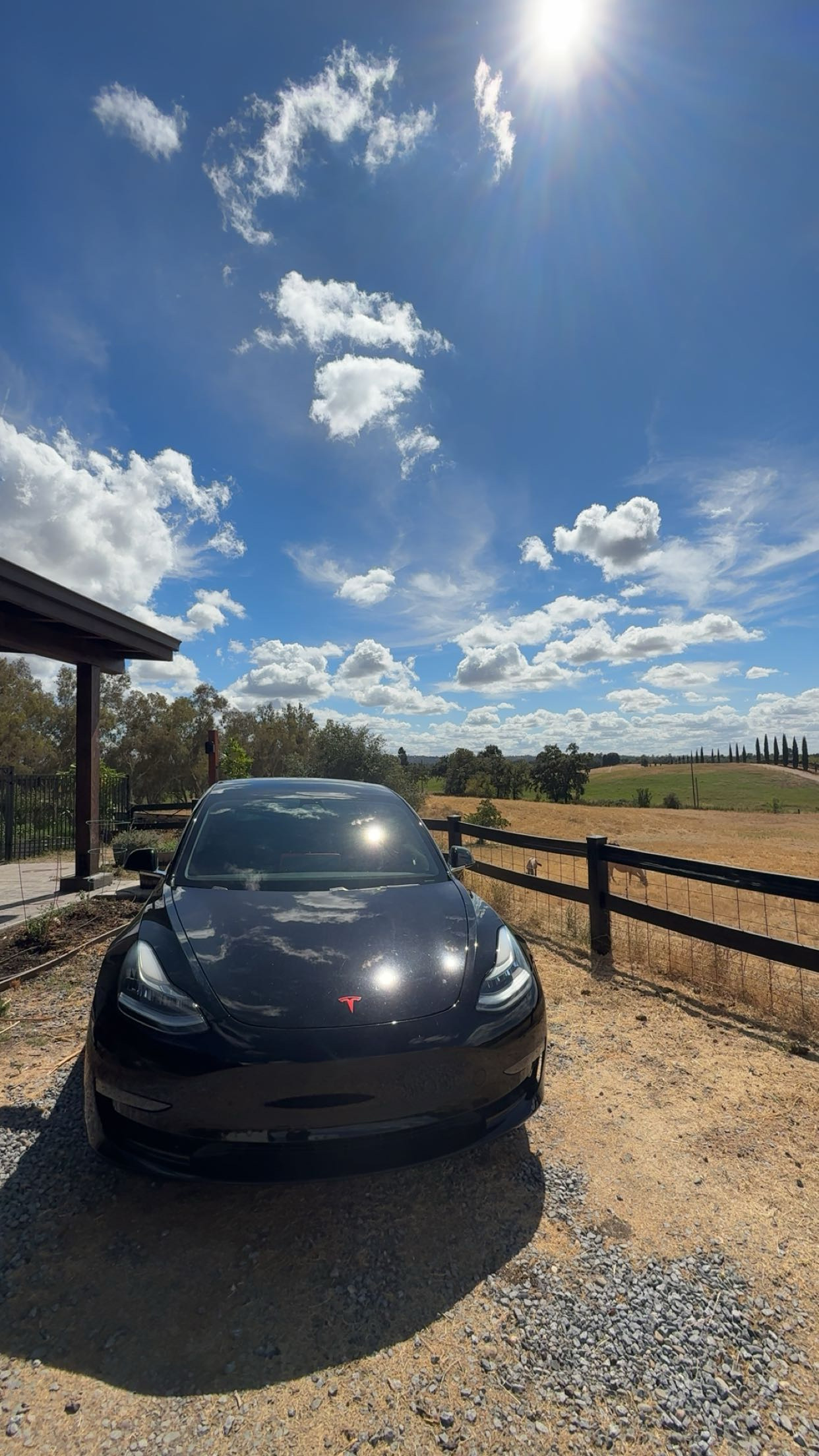 Tesla model 3 6