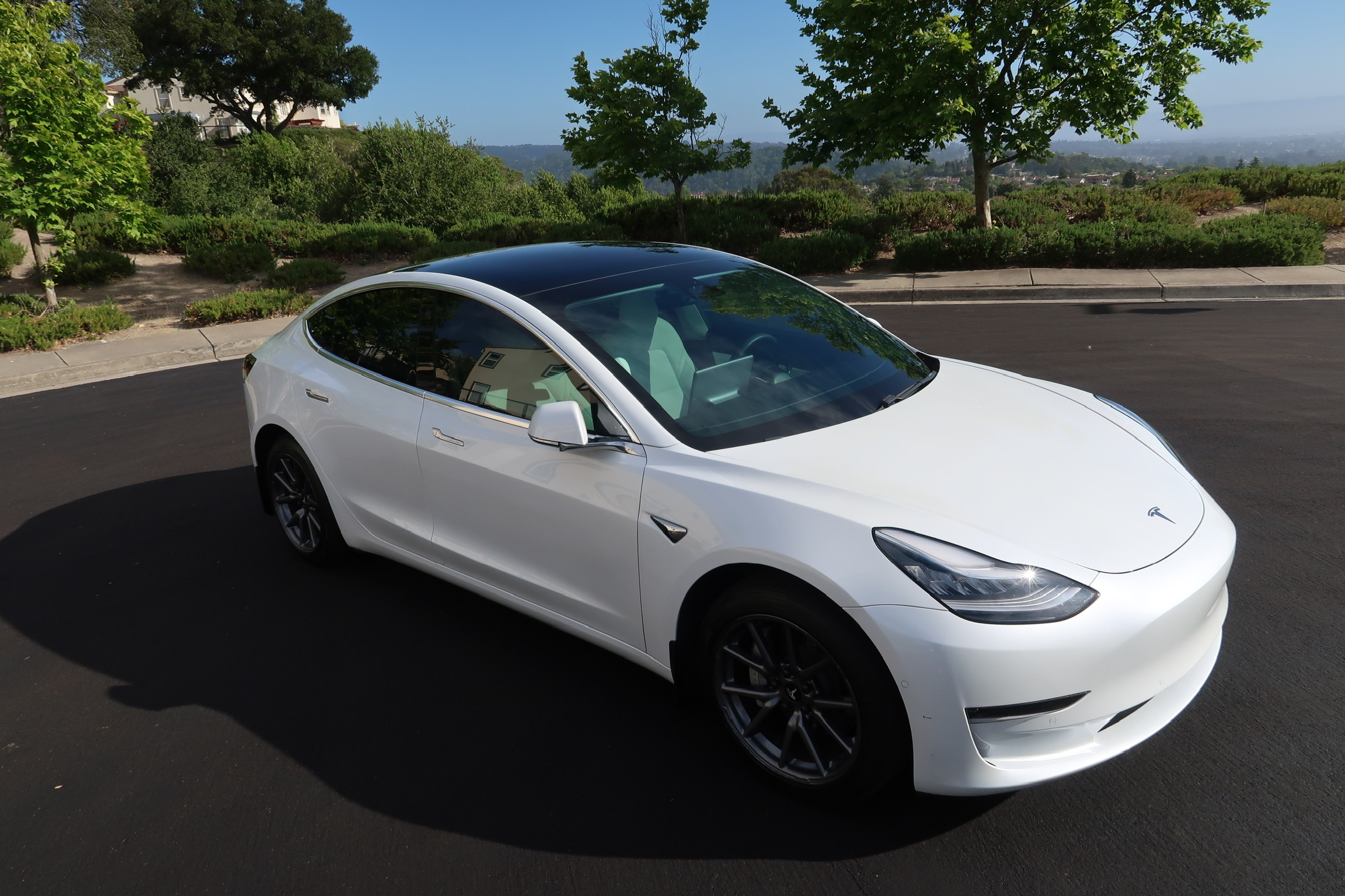 Tesla Model 3 Standard Range 10