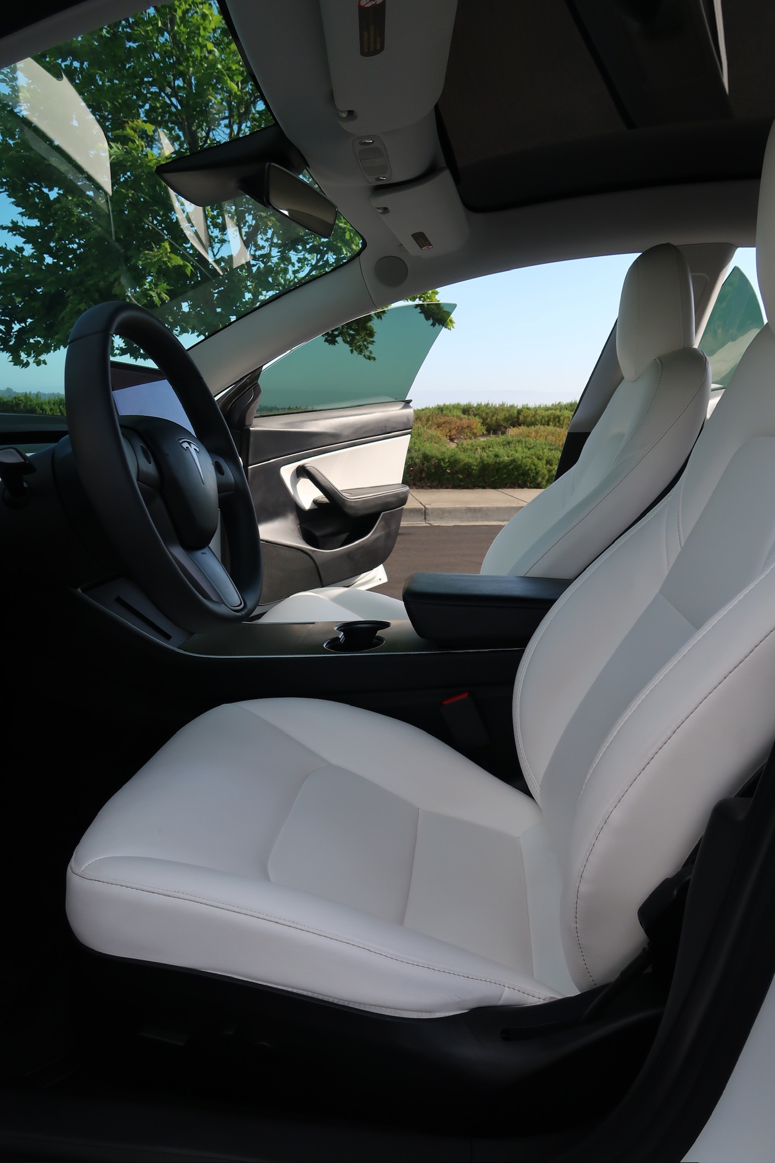 Tesla Model 3 Standard Range 2