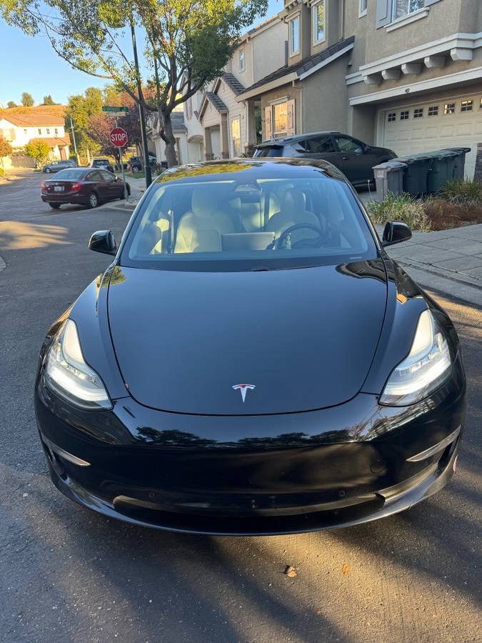 2019 Tesla Model 3 2