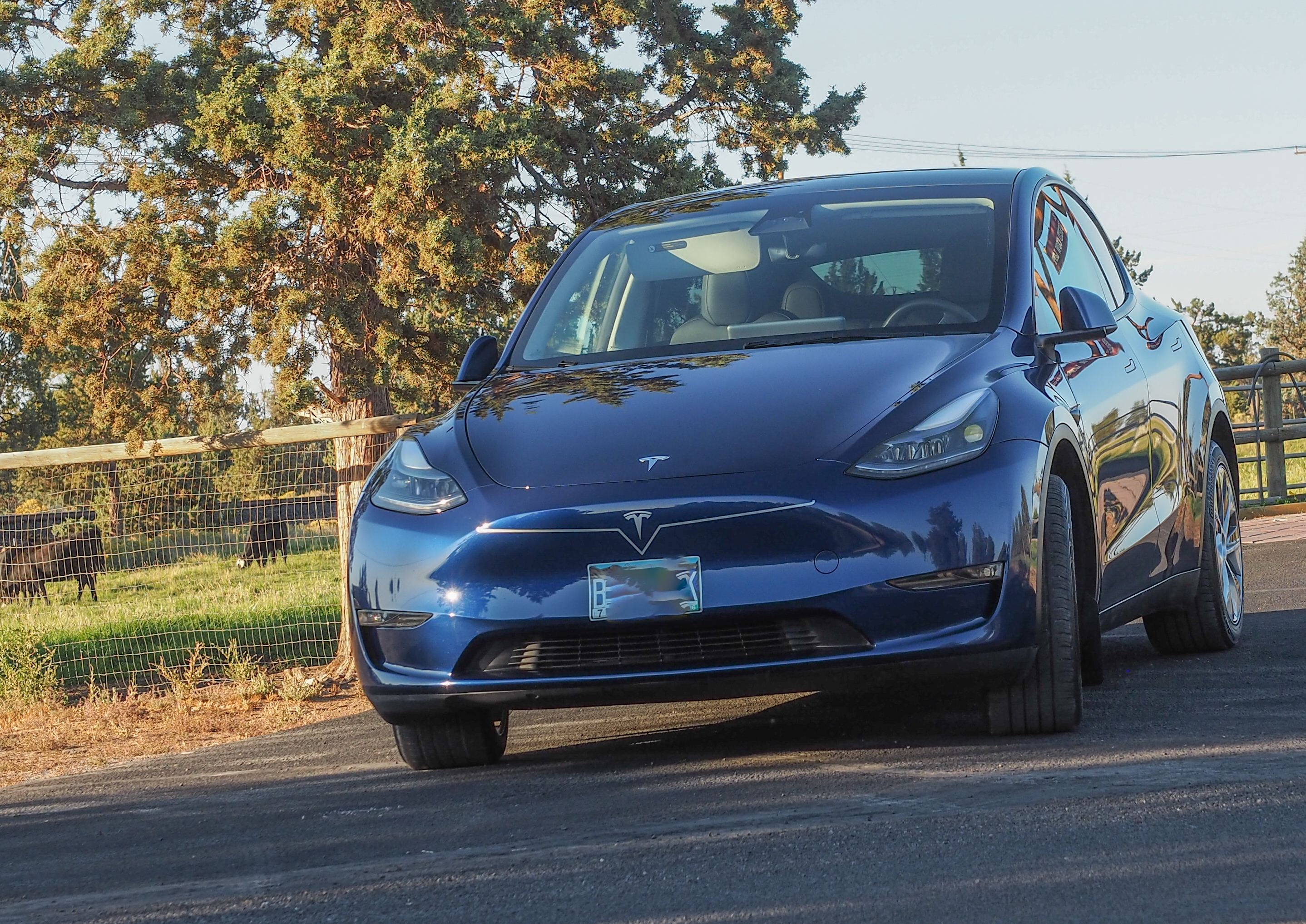 Tesla Model Y Long Range 5