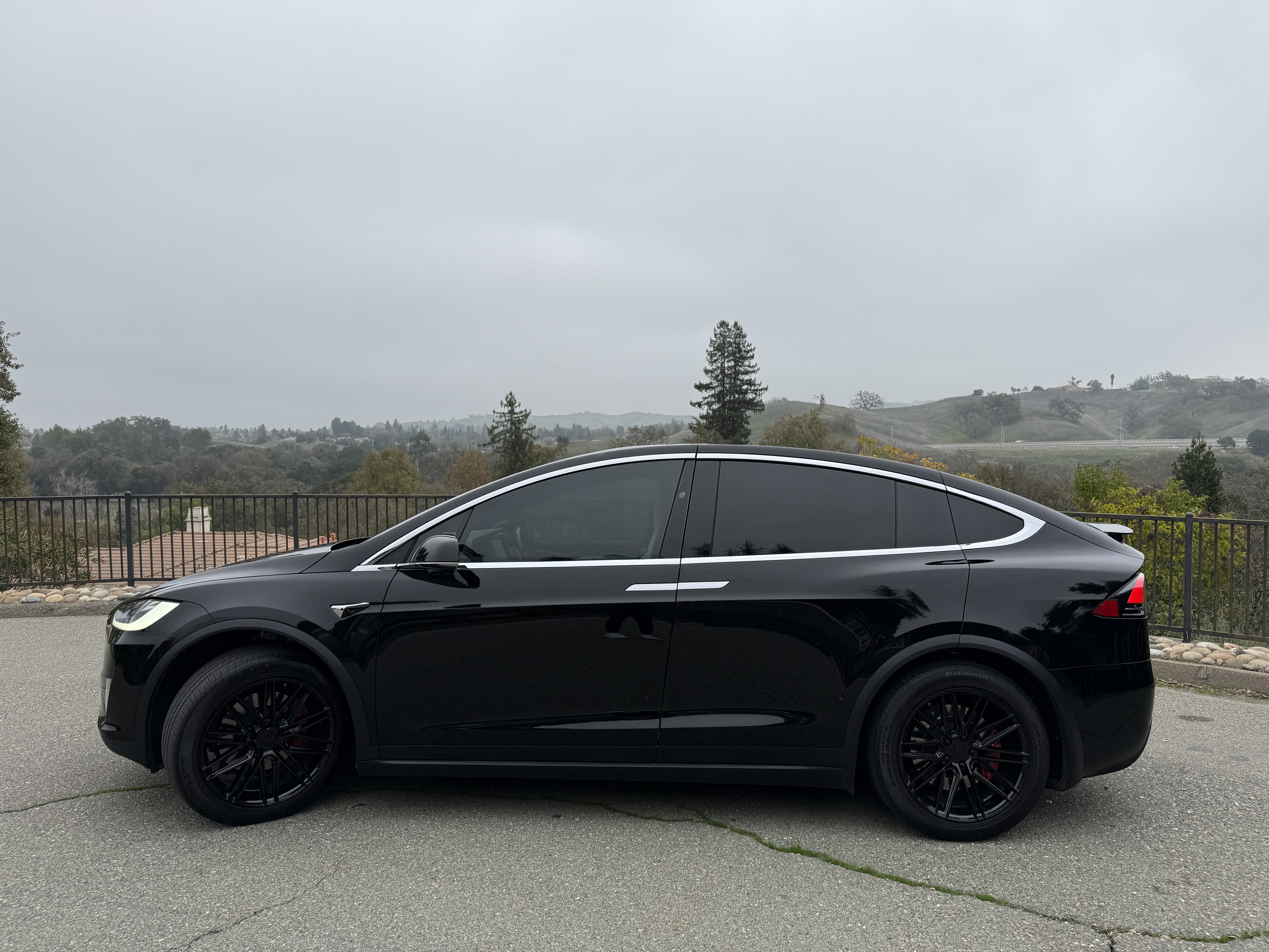 Tesla Model X P100D 2