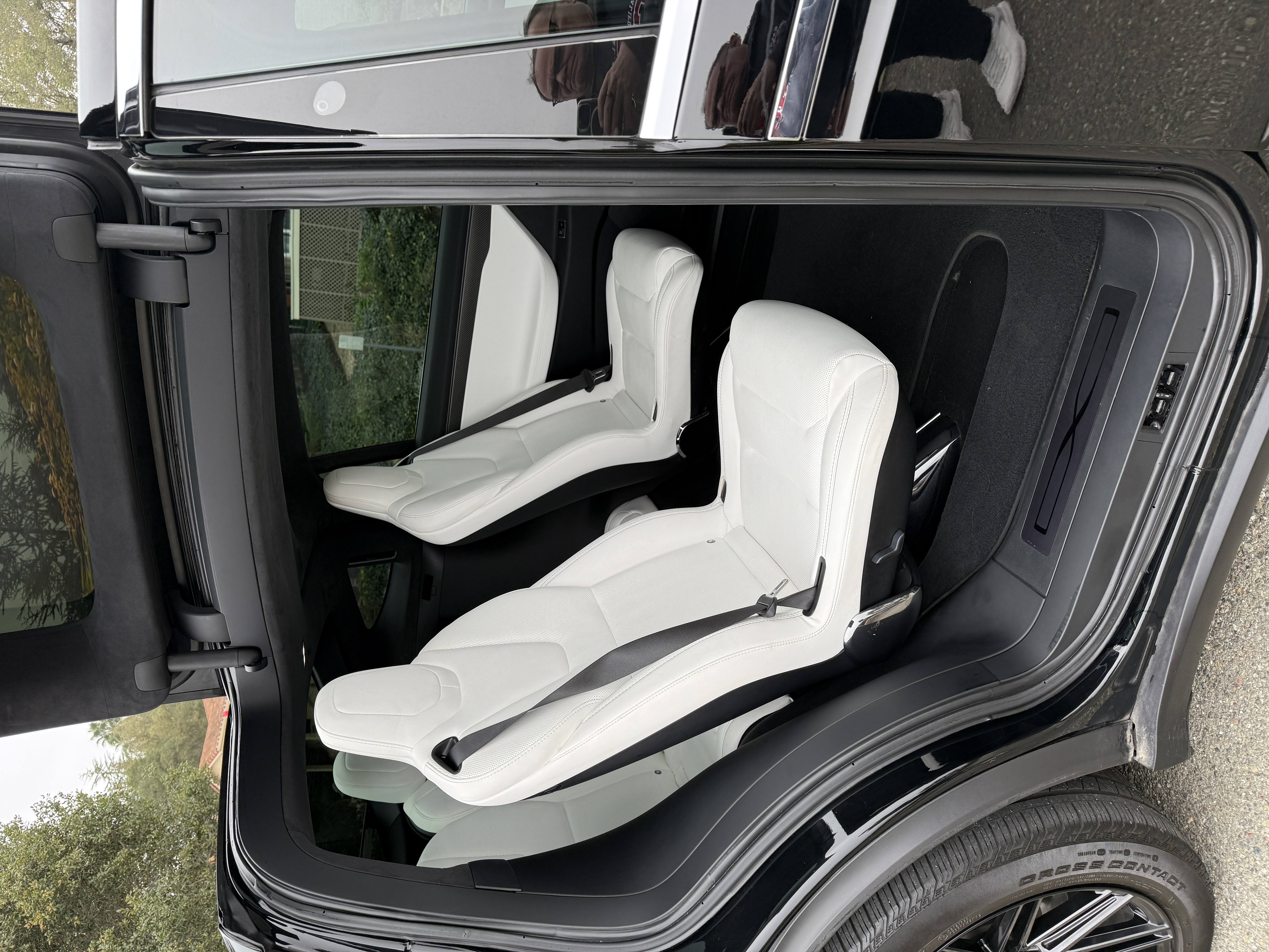 Tesla Model X P100D 6