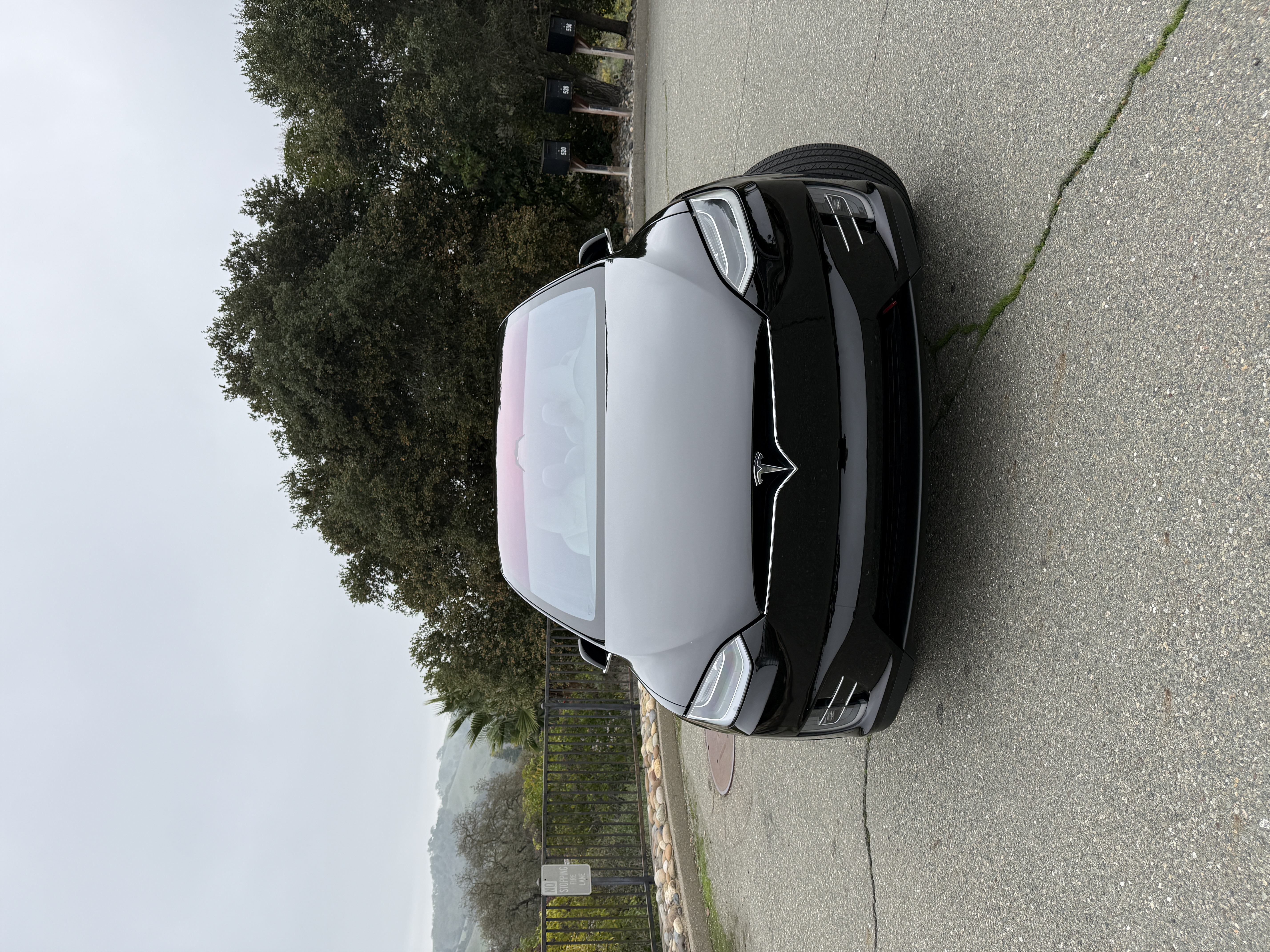 Tesla Model X P100D 8