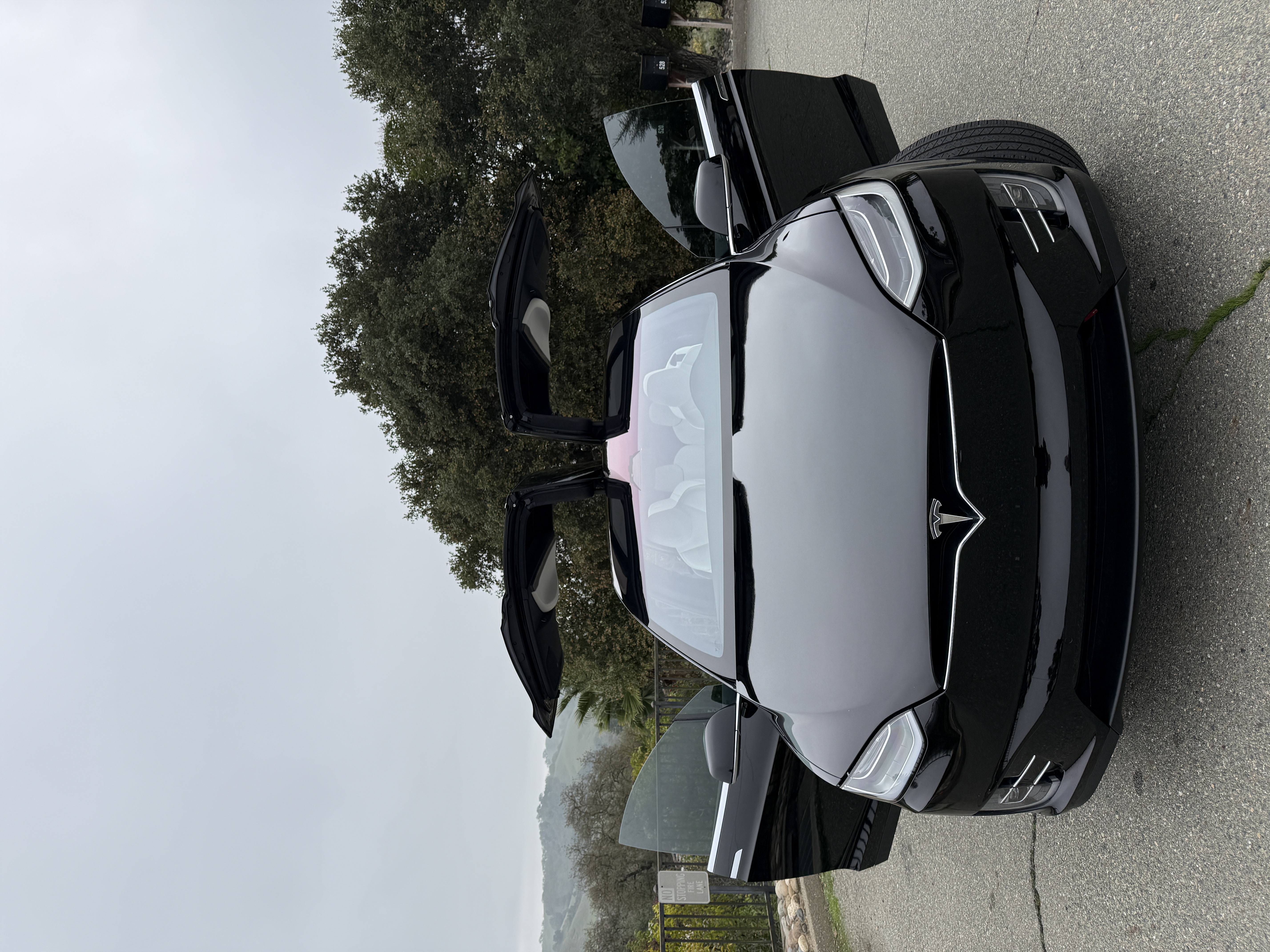 Tesla Model X P100D 9