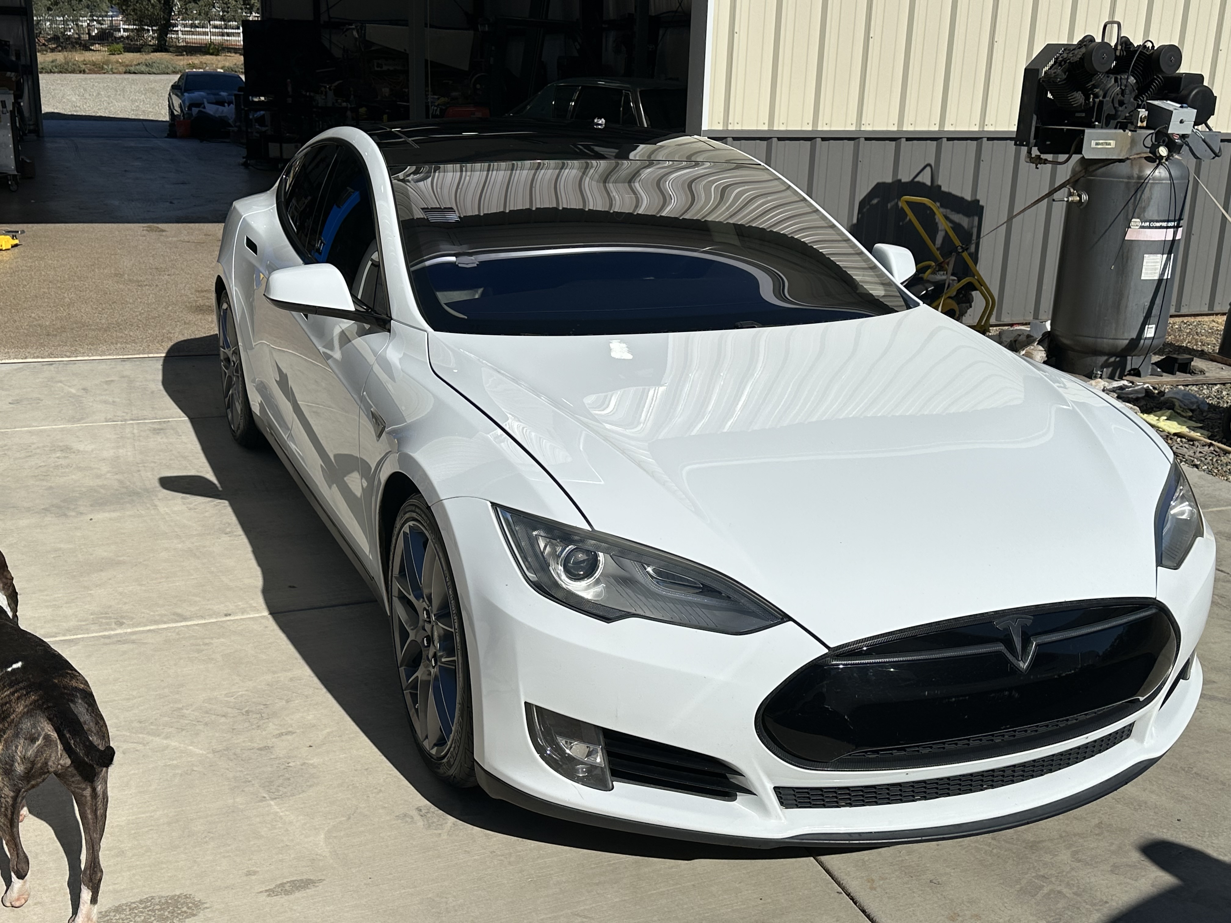 Tesla Model S 6