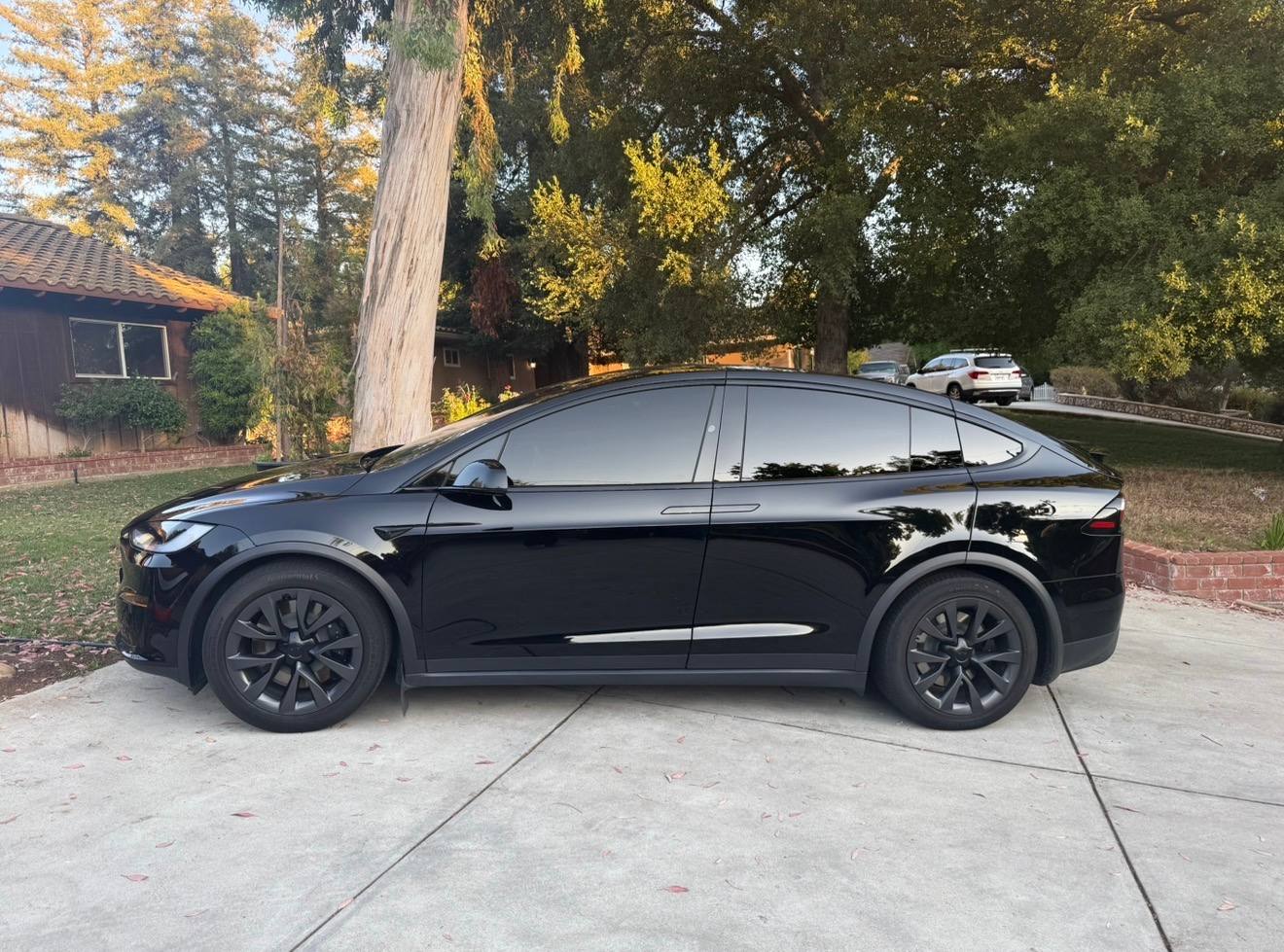 2024 Tesla Model X