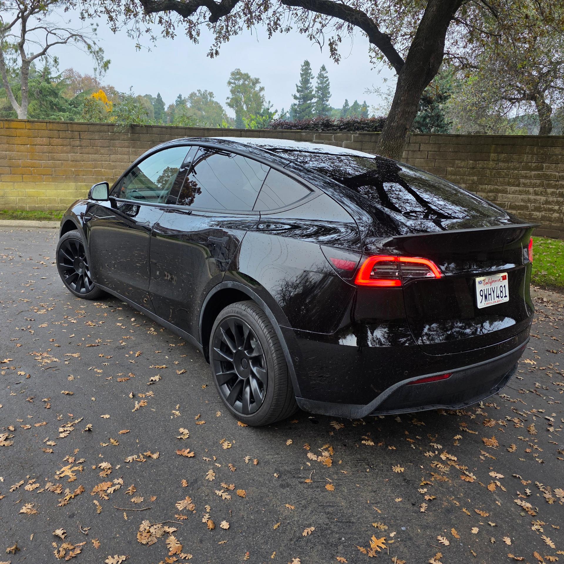 TESLA Model Y 2