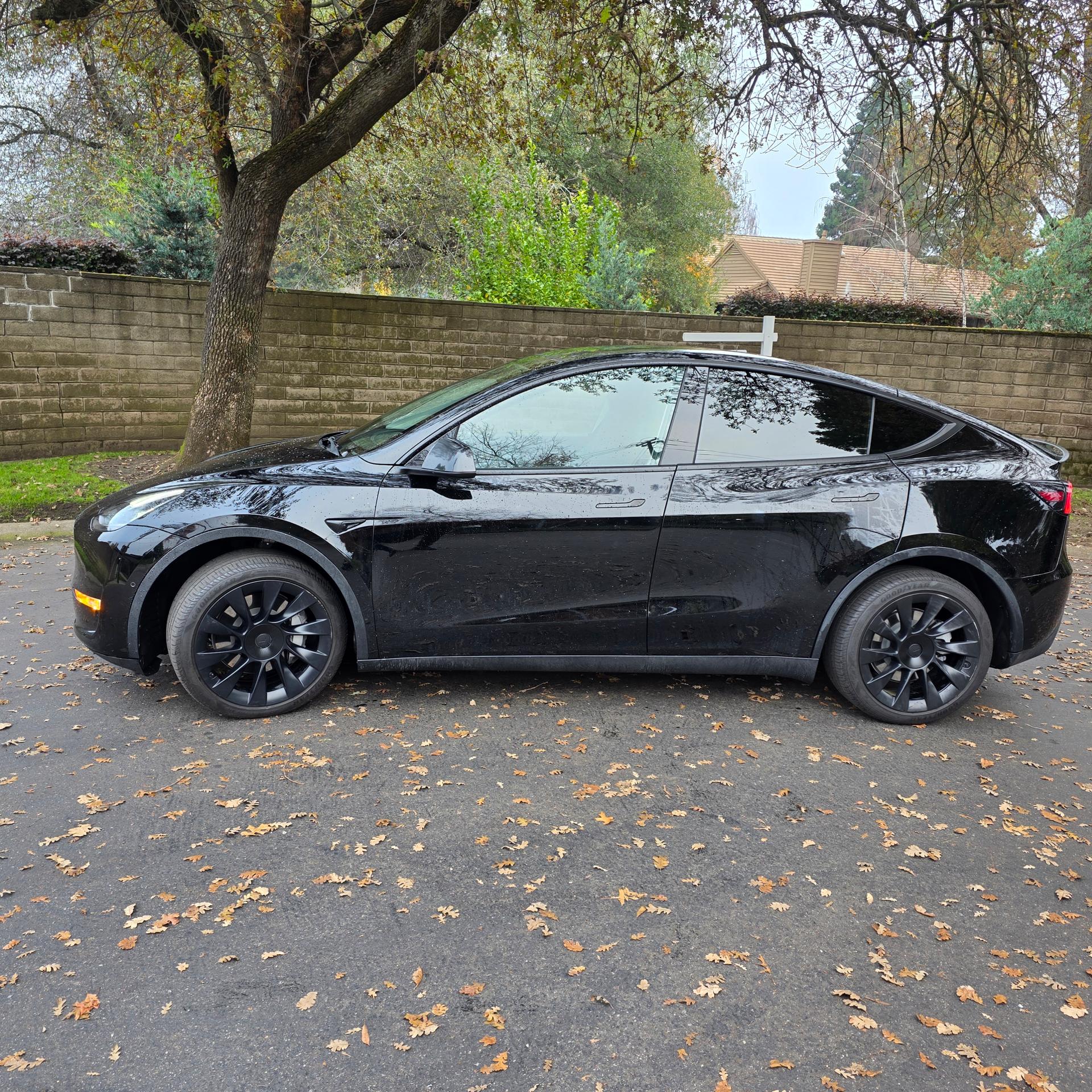 TESLA Model Y 5