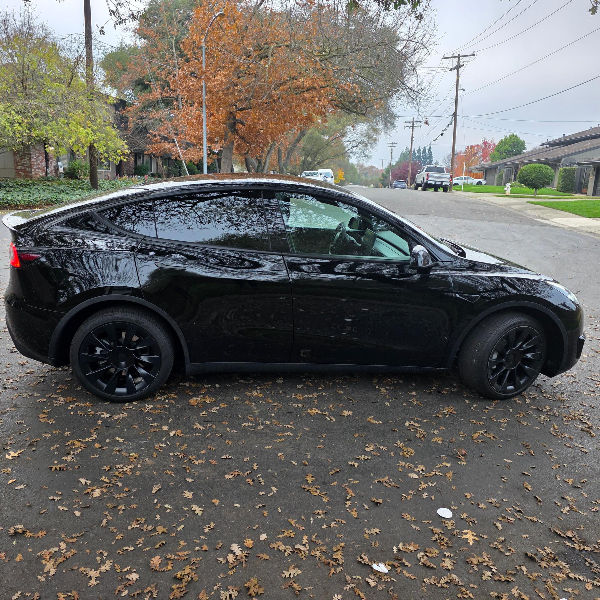 TESLA Model Y 6