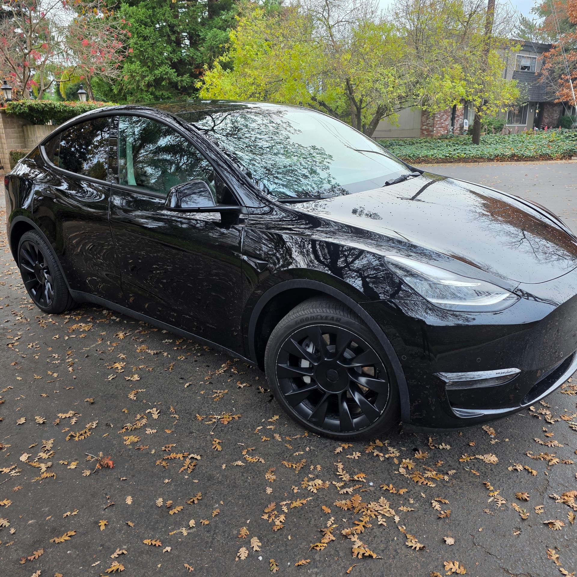 TESLA Model Y 7